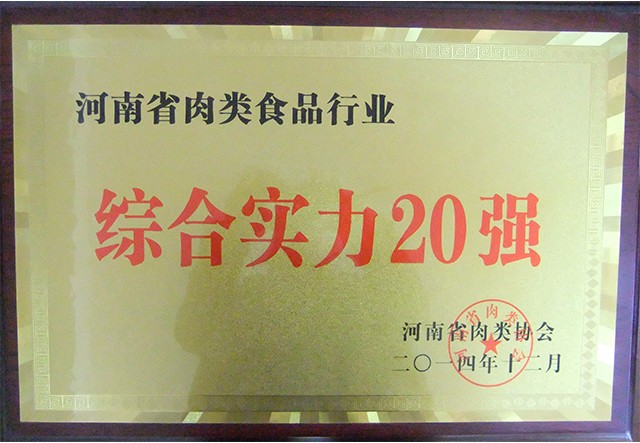 綜合實力20強(qiáng)